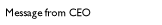 Message from CEO